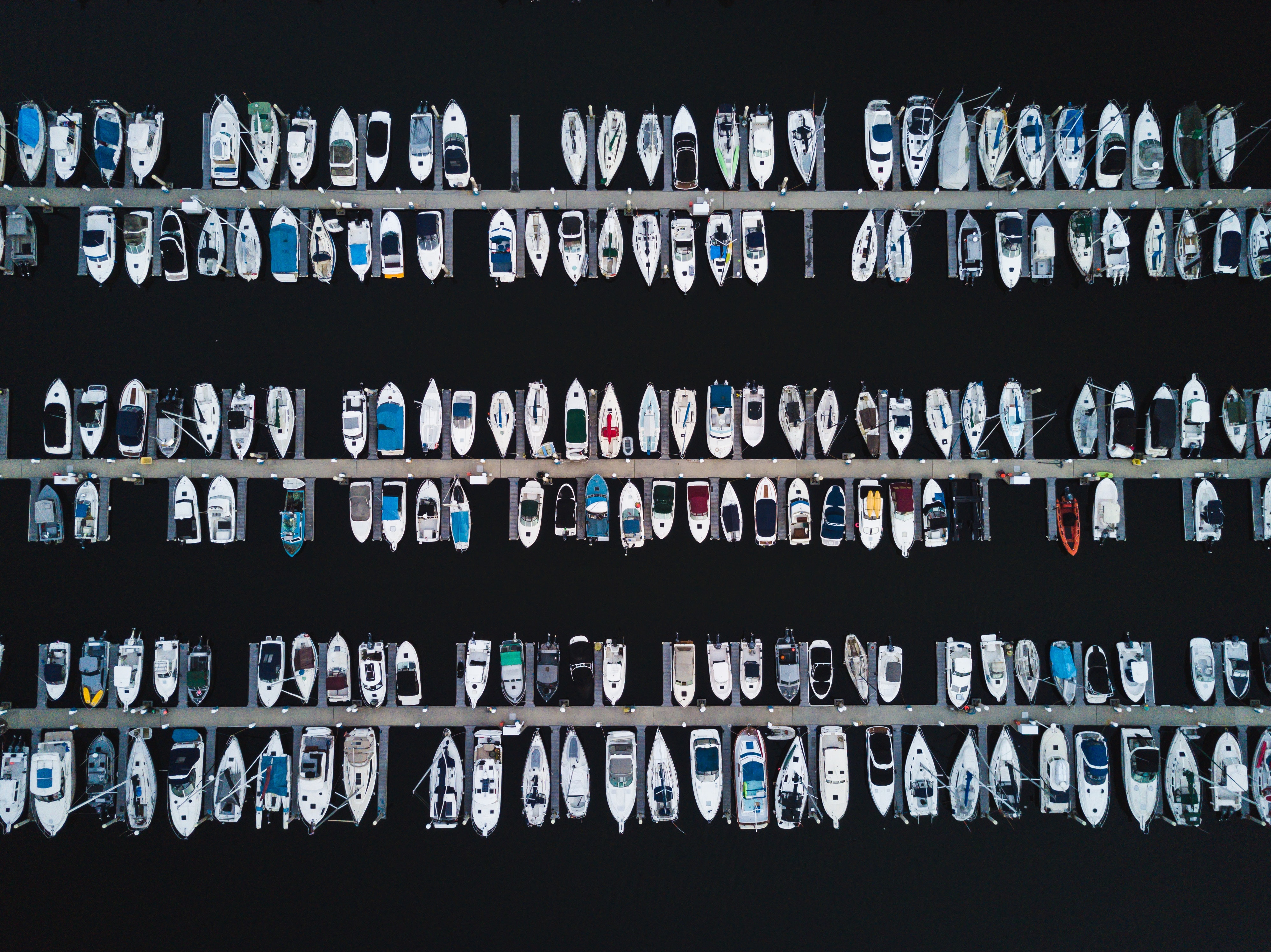 Week 13 · Virtual Memory · Parallelism